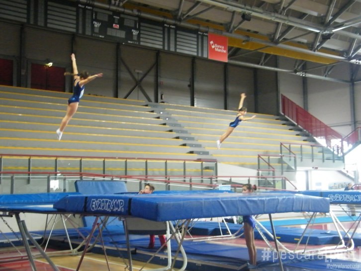 GINNASTICA ARTISTICA - COPPA CAMPIONI NAZIONALE GOLD DI TRAMPOLINO ELASTICO