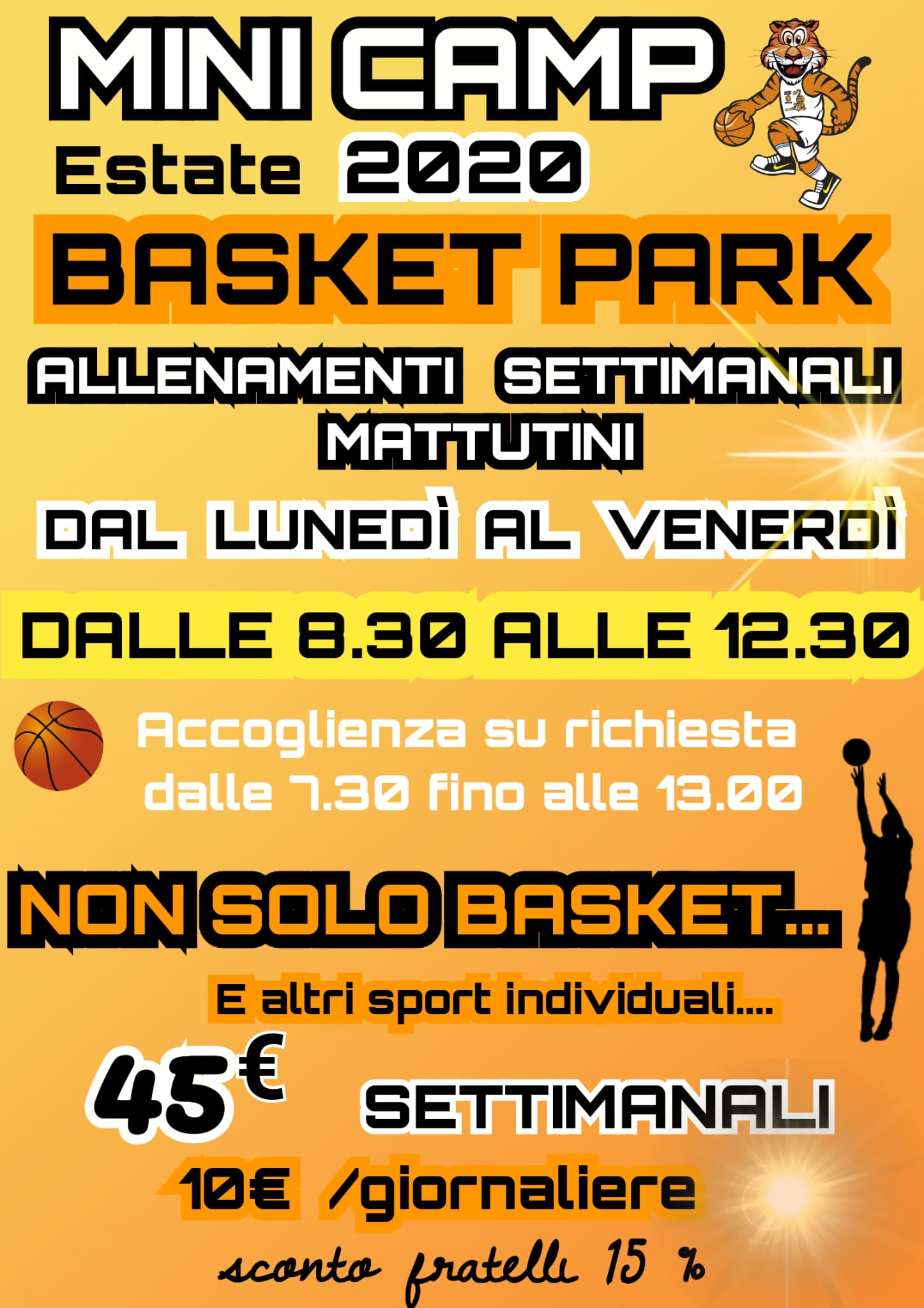 Centro Estivo Scuola Basket Faenza