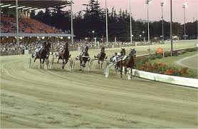 Trotto - Ippodromo del Savio di Cesena - seconda serata - Pietro Neri